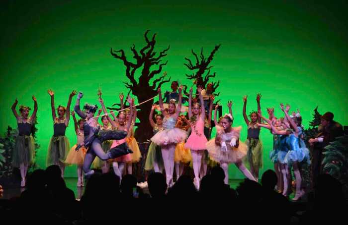 The Hampton Ballet Theatre School (HBTS)